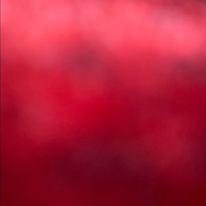 Meet your Posher, Savannah